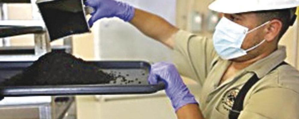 Panamá marca tendencia de disminución en nuevos casos del gusano barrenador, asegura Copeg